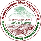 logo rotondo inarmonia piccolo