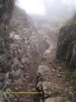 Paesaggi Grappa 01