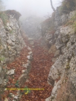 Paesaggi Grappa 01