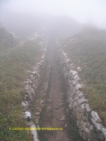 Paesaggi Grappa 01
