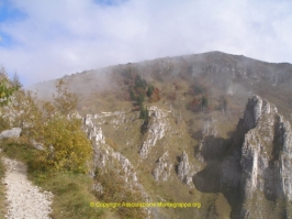 Paesaggi Grappa 02