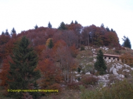 Paesaggi Grappa