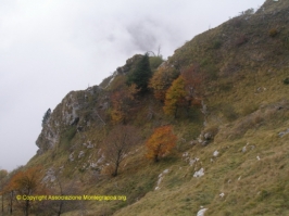 Paesaggi Grappa 02