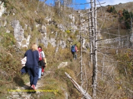 Paesaggi Grappa 02