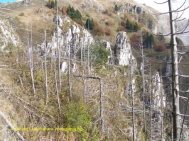 Paesaggi Grappa 02