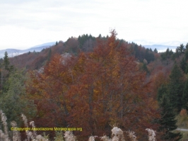 Paesaggi Grappa 02