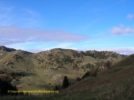 Paesaggi Grappa 02