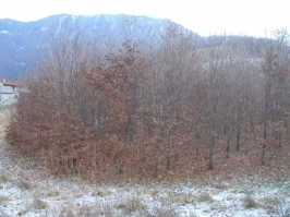 Valle di Seren