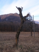 Valle di Seren