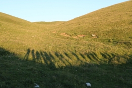 16 luglio camminata al chiar di luna