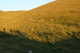 16 luglio camminata al chiar di luna