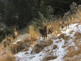 Camminata al Tramonto in Grappa e ricognizione di Carlo e Barbara