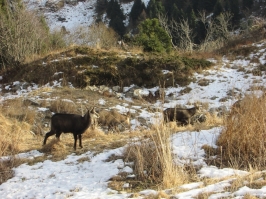 Camminata al Tramonto in Grappa e ricognizione di Carlo e Barbara