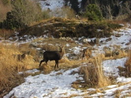 Camminata al Tramonto in Grappa e ricognizione di Carlo e Barbara