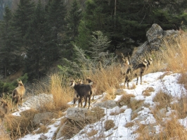 Camminata al Tramonto in Grappa e ricognizione di Carlo e Barbara