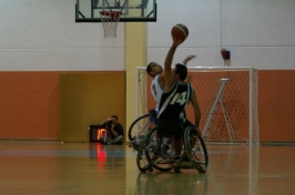 Basket