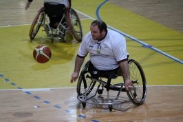 Basket in carrozzina