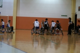 Basket in carrozzina