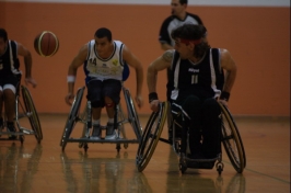 Basket in carrozzina