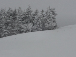 Ciaspole Ciaspatour del Grappa