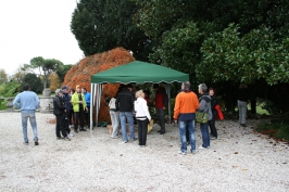 Nordic Walking tour a Romano Ezzelino