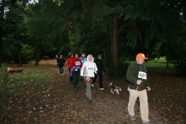 Nordic Walking tour a Romano Ezzelino