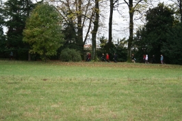Nordic Walking tour a Romano Ezzelino