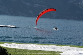 Adrenalina