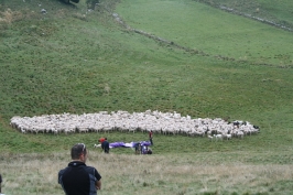 Foto campetto prova di parapendio