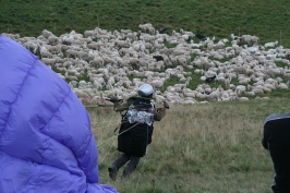 Foto campetto prova di parapendio