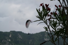 Foto scuola di volo