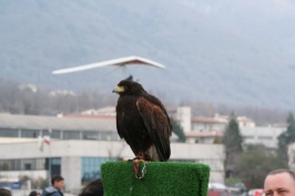 Seconda edizione Trofeo Montegrappa