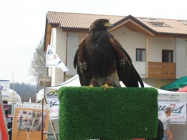 Seconda edizione Trofeo Montegrappa