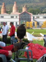 Foto Varie volo libero sul Grappa