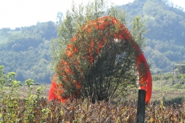 Foto Varie volo libero sul Grappa