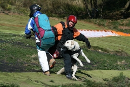 Foto Varie volo libero sul Grappa