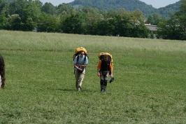 Foto Varie volo libero sul Grappa