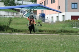 Foto Varie volo libero sul Grappa