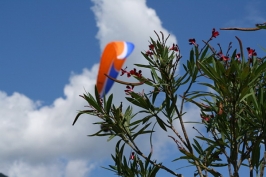 Foto volo libero 2 Sul Grappa