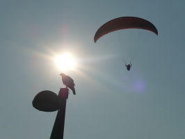 Foto volo libero 2 Sul Grappa