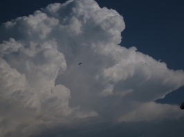 Foto volo libero 2 Sul Grappa