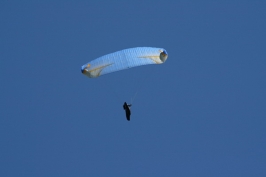 Foto volo libero 2 Sul Grappa