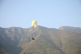 Foto volo libero 2 Sul Grappa