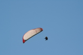 Foto volo libero 2 Sul Grappa