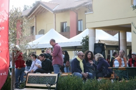 Foto volo libero 2 Sul Grappa