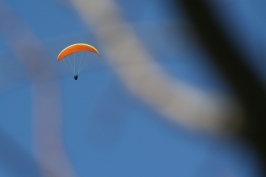 Volo libero sul Grappa