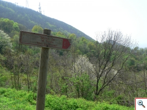 05panorama