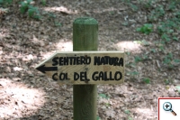 col del gallo23